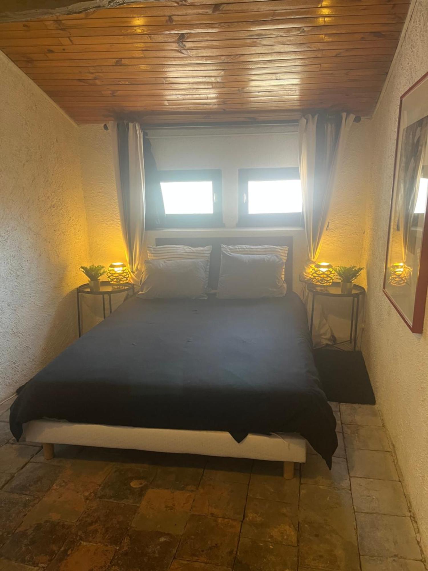 Le Charles IX Apartamento Roussillon  Exterior foto